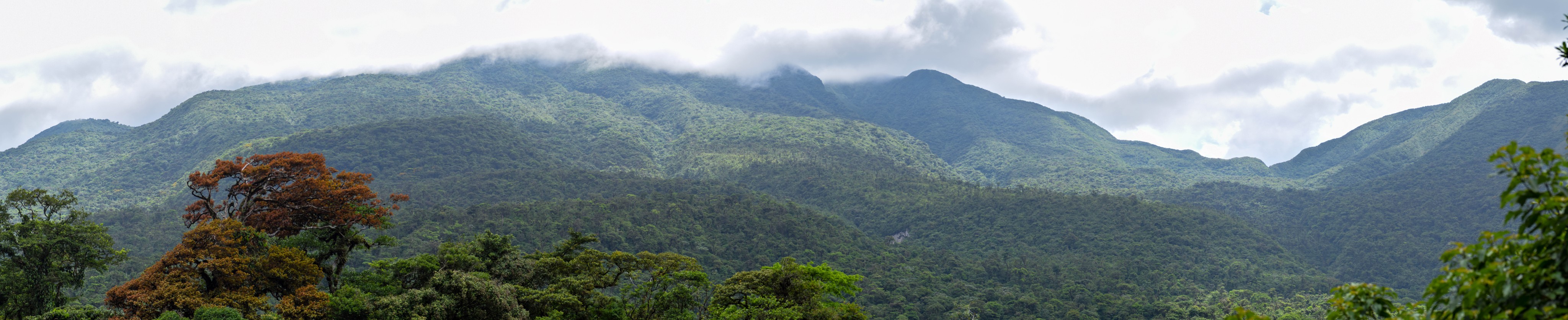 Panorama 9